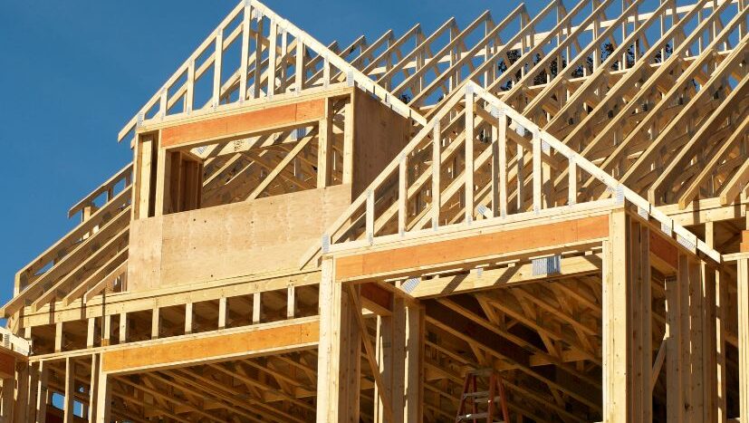 new construction homes (1)